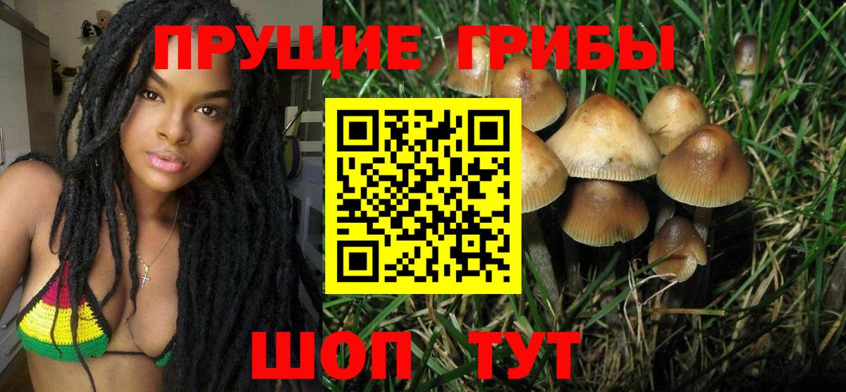 Галлюциногенные грибы GOLDEN TEACHER Усолье-Сибирское