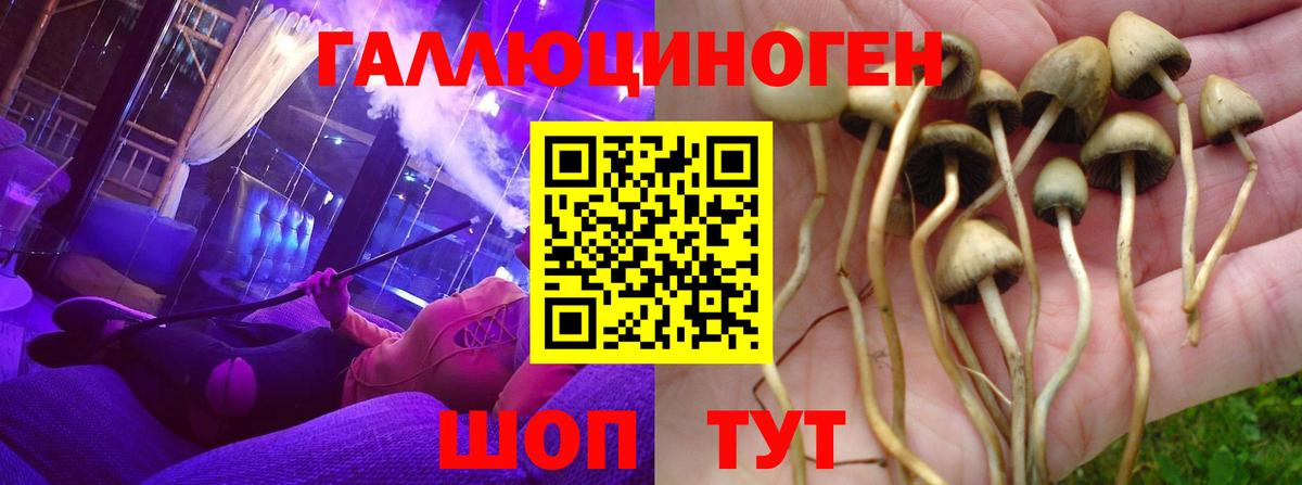 Галлюциногенные грибы Psilocybe  Вход с VPN  Псилоцибиновые грибы прущие грибы  Усолье-Сибирское 